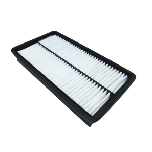 Filtro Aire AFA-8922
